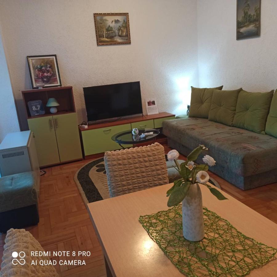 Apartman Radicevic Vrnjačka Banja Exterior foto
